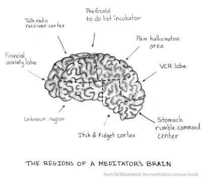 The Regions of a Meditator’s Brain – Meditation Cartoons